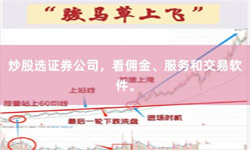 炒股选证券公司，看佣金、服务和交易软件。