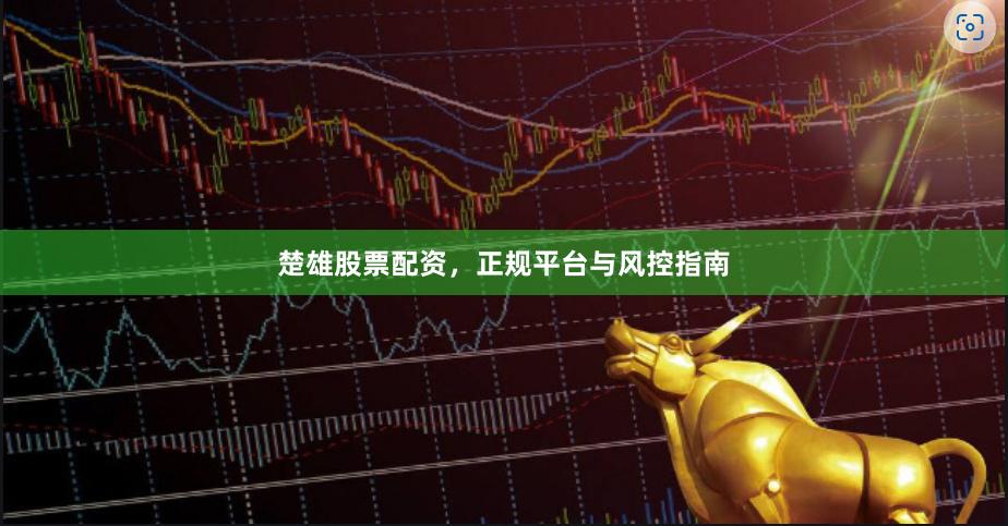 楚雄股票配资，正规平台与风控指南